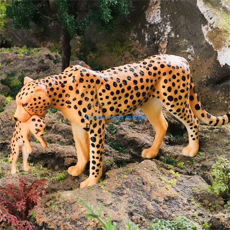 Science Exhibition Models - 090B dettagliata del ghepardo perfetta per