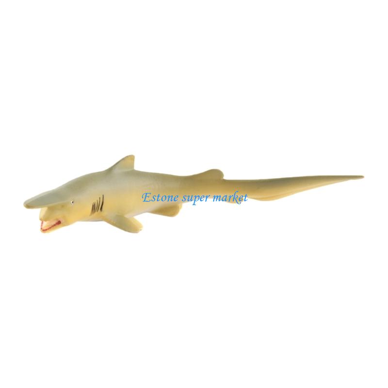 090B Modello pesce Moray Reali - Science Exhibition Models recensione e prezzo