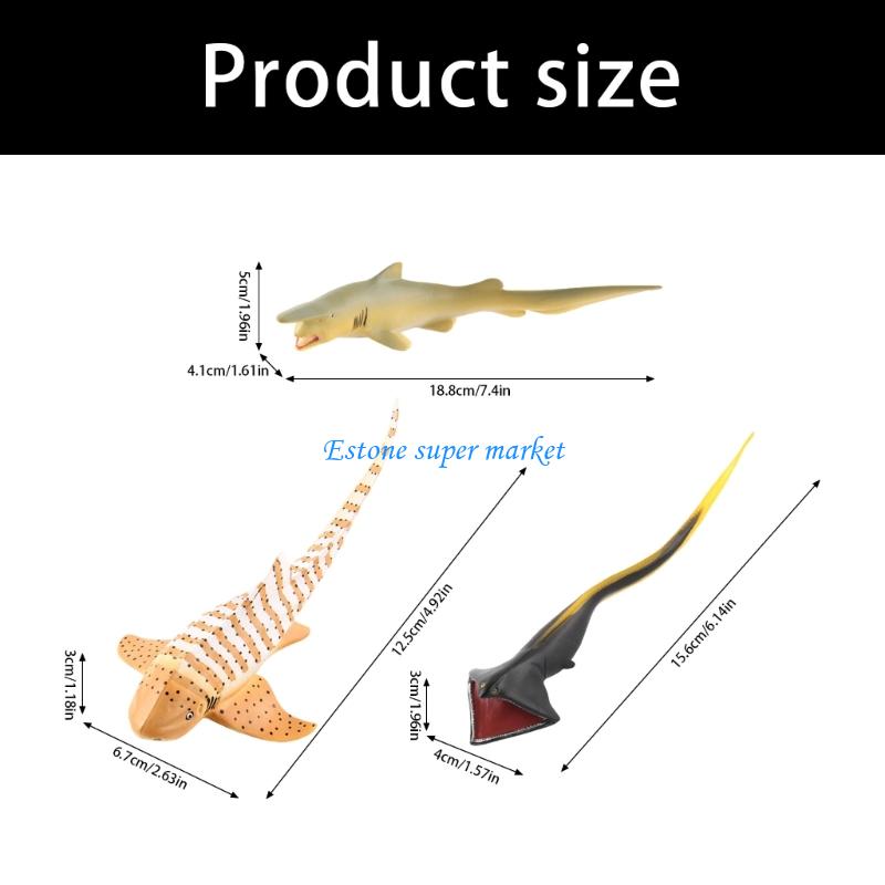 090B Modello pesce Moray Reali - Science Exhibition Models recensione e prezzo