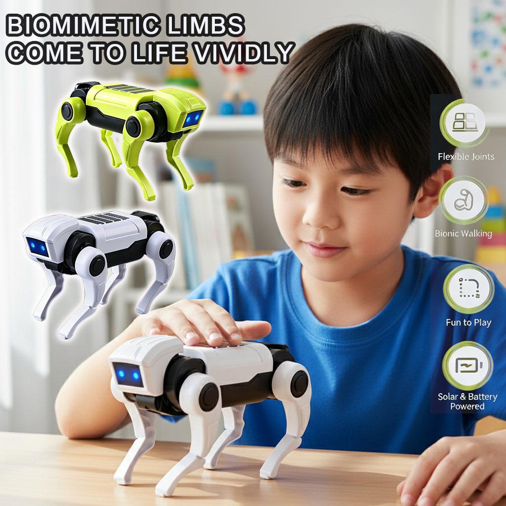 Kit Robot Cane Telecomandato F - Science Project Robot recensione e prezzo