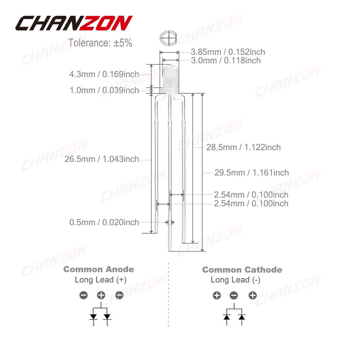 Lampada a diodi emettitori di  - Hobby Is Science recensione e prezzo