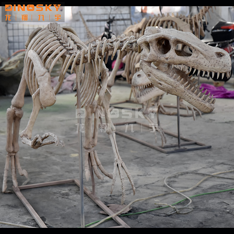 Modello di Scheletro di Dinosa - Science Exhibition Models recensione e prezzo