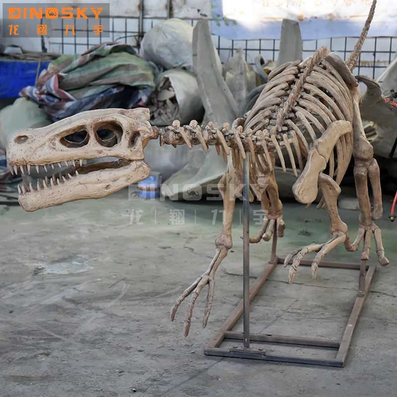 Modello di Scheletro di Dinosa - Science Exhibition Models recensione e prezzo