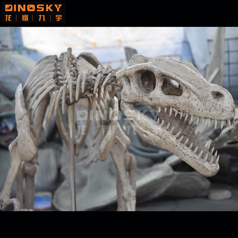 Modello di Scheletro di Dinosa - Science Exhibition Models recensione e prezzo
